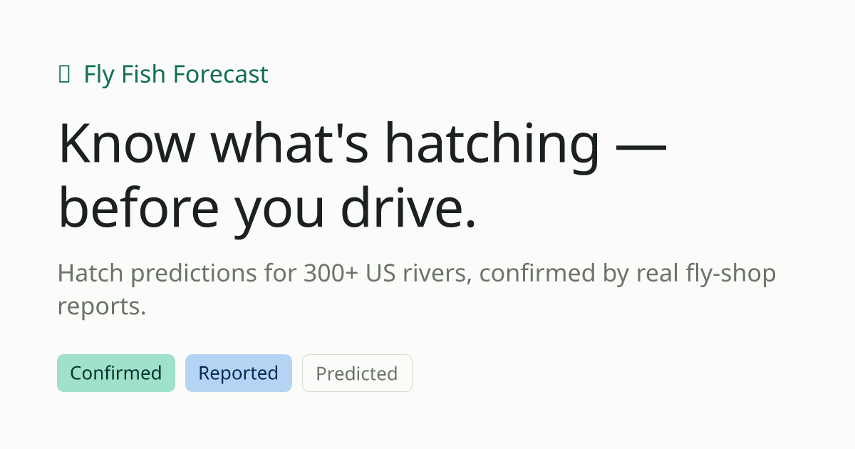 East River At Almont hatch forecast — Fly Fish Forecast
